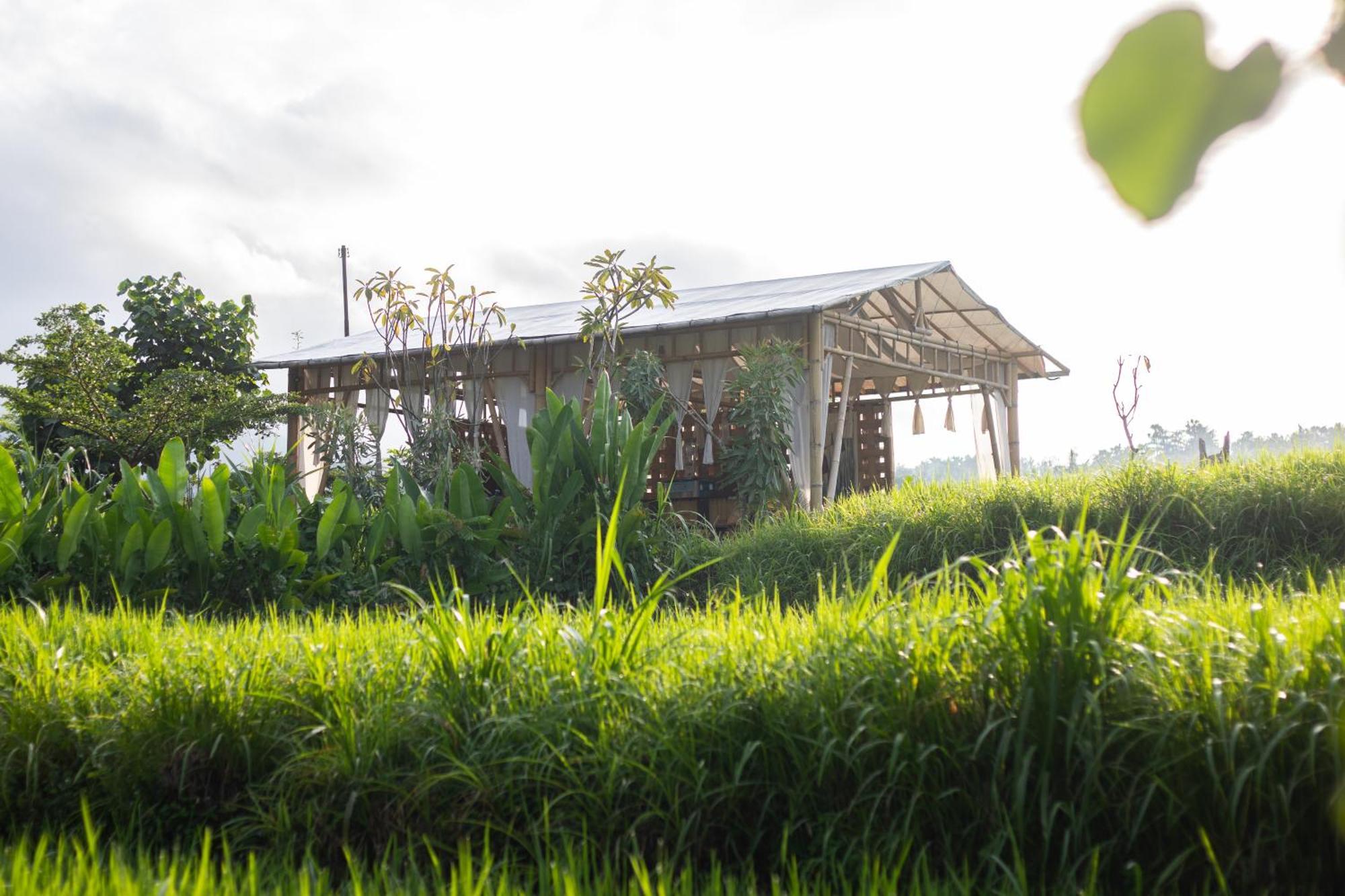 Camani Glamping Hotel Karangasem  Exterior photo