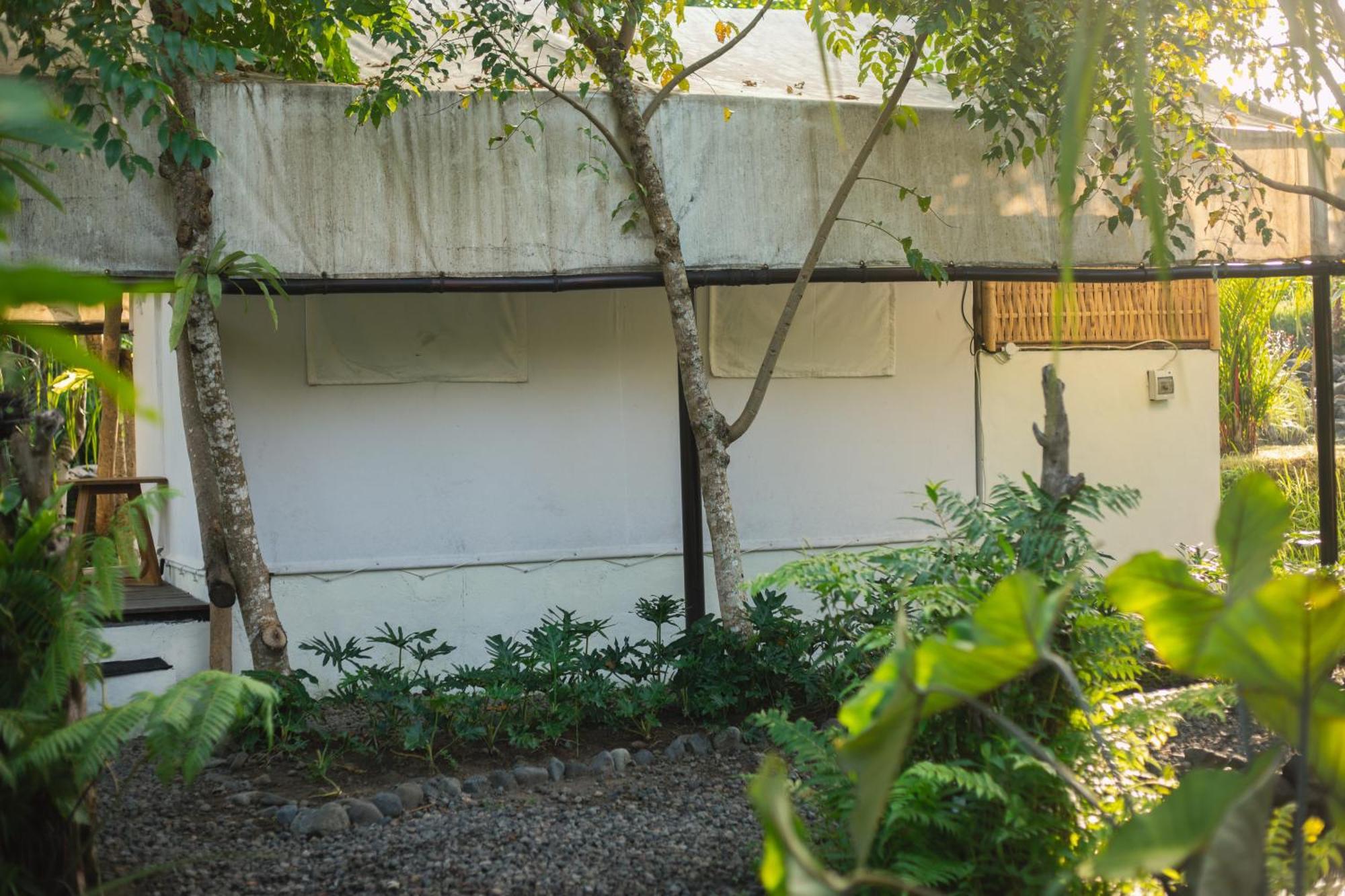 Camani Glamping Hotel Karangasem  Room photo